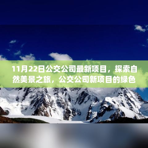 公交公司新项目，自然美景之旅的绿色启示录探索