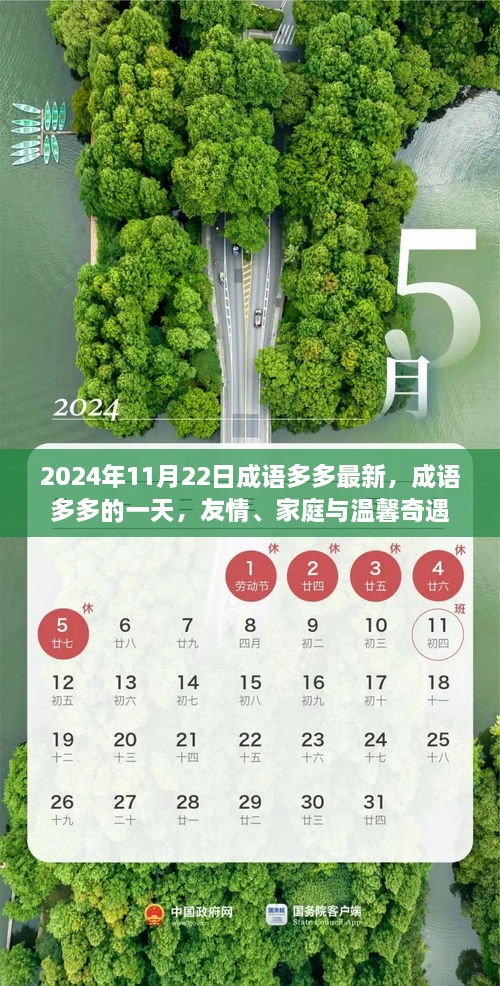 成语多多的一天，友情、家庭与温馨奇遇（2024年11月22日最新）