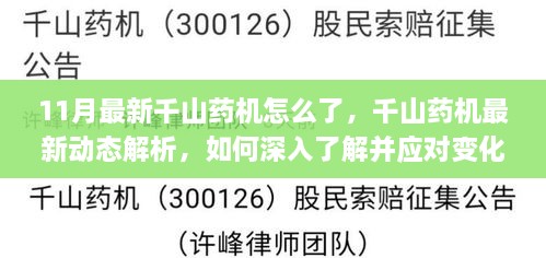 千山药机最新动态解析，深入了解11月变化及应对策略