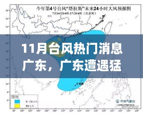 广东遭遇猛烈台风袭击，十一月风暴潮回顾与影响分析