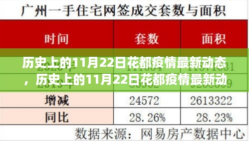 历史上的11月22日花都疫情最新动态，深度解析与最新消息