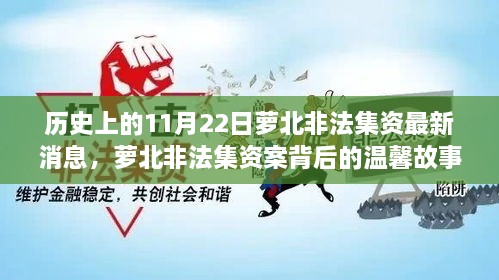 萝北非法集资案背后的故事，最新消息揭秘不寻常的11月22日