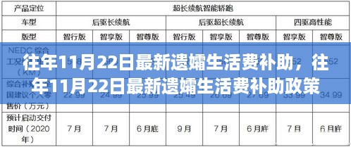 往年11月22日遗孀生活费补助政策评析——以某某观点看其影响及启示