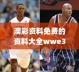 澳彩资料免费的资料大全wwe330期,高度协调实施_明亮版RXC11.57