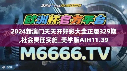 2024新澳门天天开好彩大全正版329期,社会责任实施_美学版AIH11.39