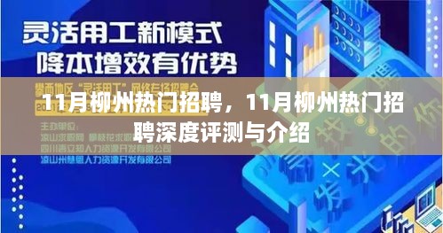 11月柳州热门招聘深度解析与评测