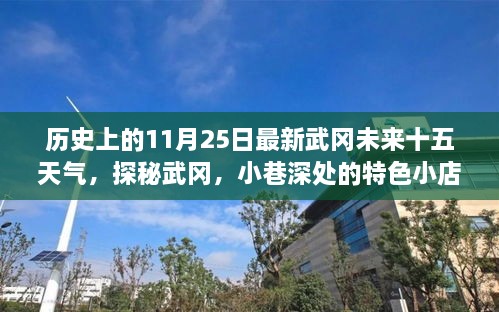 武冈探秘，小巷特色小店与未来十五日天气预报全解析