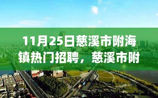 慈溪市附海镇最新热门招聘概览（11月25日更新）