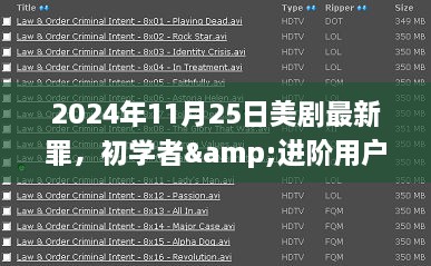 美剧观看指南，初学者与进阶用户必备的2024年最新美剧罪指南