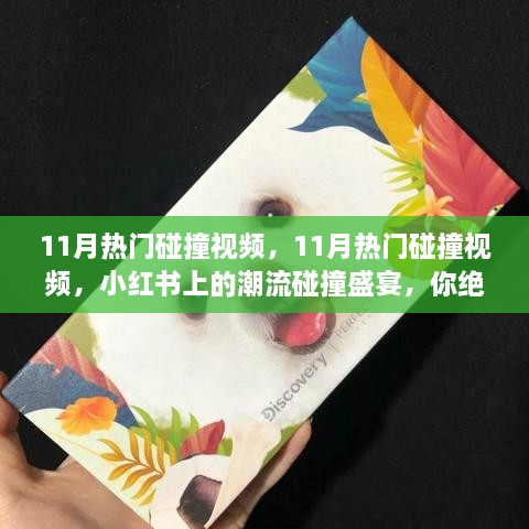 11月热门碰撞视频，小红书上的潮流碰撞盛宴，精彩不容错过！