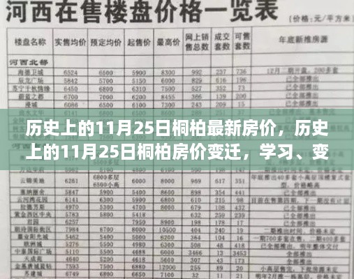 历史上的11月25日桐柏房价变迁，学习、自信与华丽乐章的交织纪事