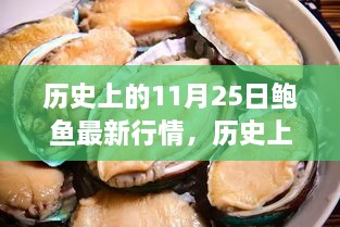 揭秘历史11月25日鲍鱼行情，市场走势、价格分析与案例解读