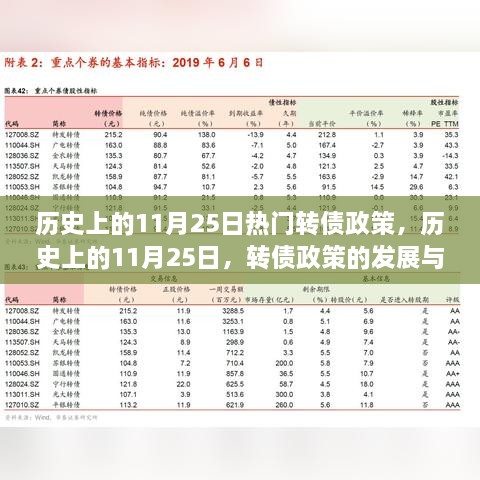 历史上的11月25日转债政策回顾与深度解读，影响与启示