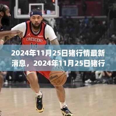 2024年11月25日猪行情最新消息分析与应对策略指南