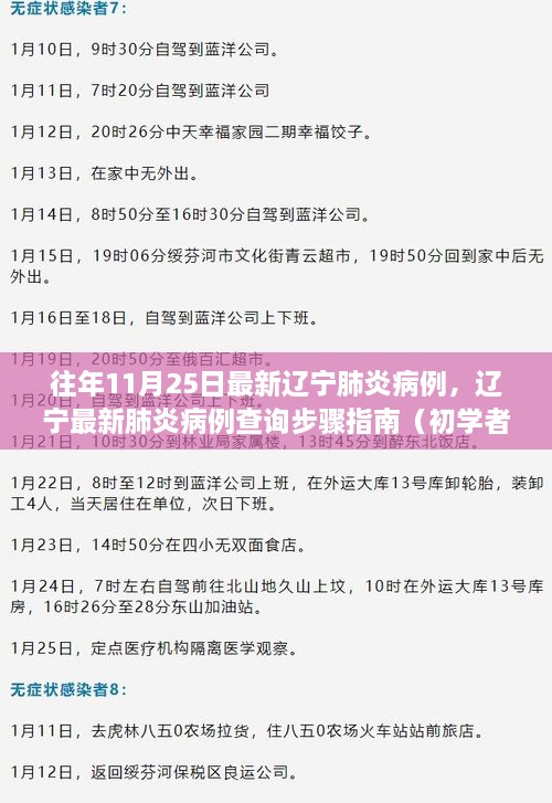 辽宁肺炎病例查询指南，最新病例查询步骤与指南（适用于初学者与进阶用户）