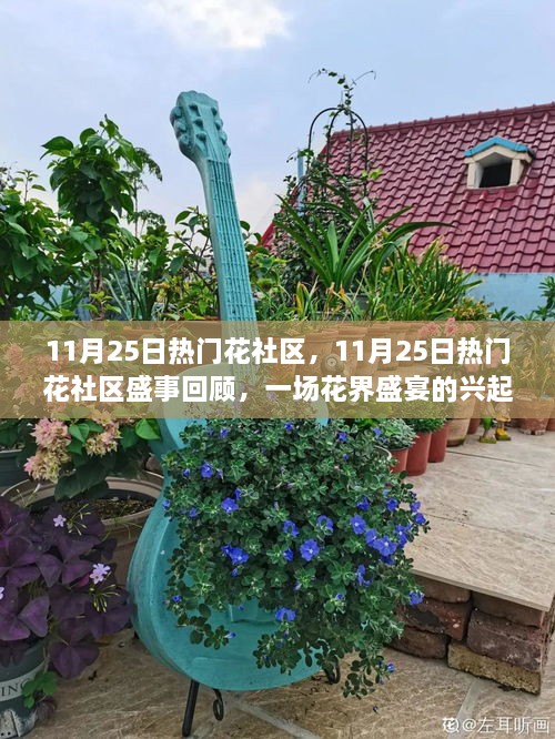 11月25日热门花社区盛事回顾，花界盛宴的兴起与深远影响