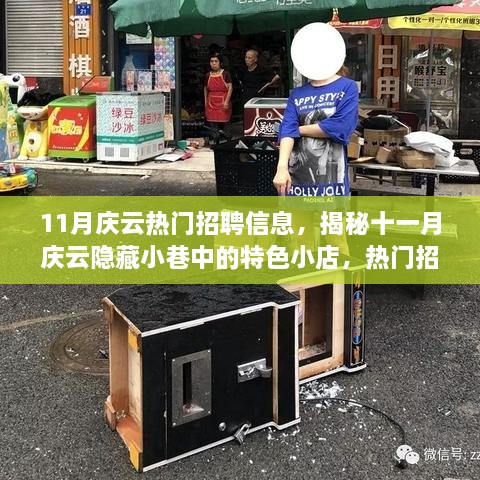 11月庆云小巷特色小店与热门招聘信息大揭秘，职场人必看！