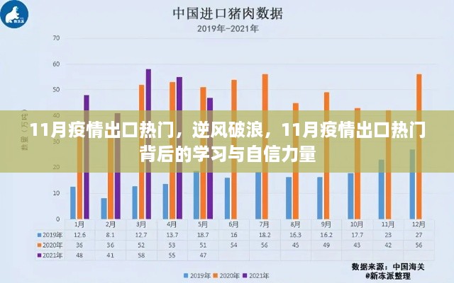 疫情出口热门背后的自信力量与学习成长之路