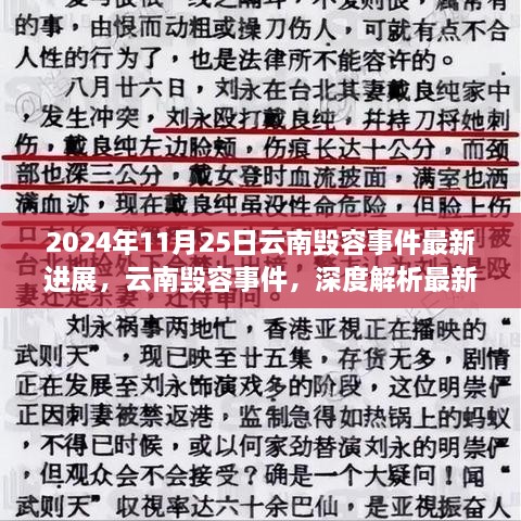 云南毁容事件最新进展深度解析与各方观点热议（2024年11月25日）