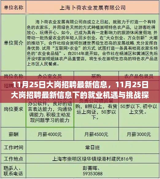 11月25日大岗招聘最新信息及其就业机遇与挑战探讨