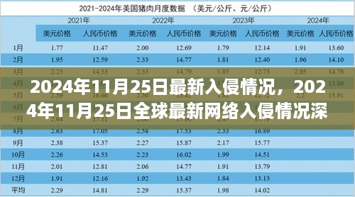 全球最新网络入侵情况深度解析，2024年11月25日最新入侵动态