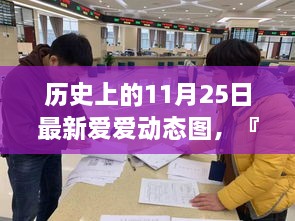 历史上的11月25日深入解析，最新爱爱动态图概览