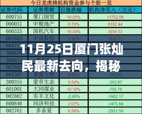 11月25日厦门张灿民最新去向，揭秘张灿民最新动向，厦门之旅与全方位深度分析