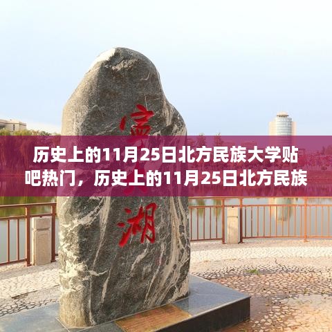 历史上的11月25日北方民族大学贴吧热门事件深度解析，我的观点与理由