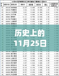 历史上的11月25日深度解析，精准策略与6月热点消息全面评测