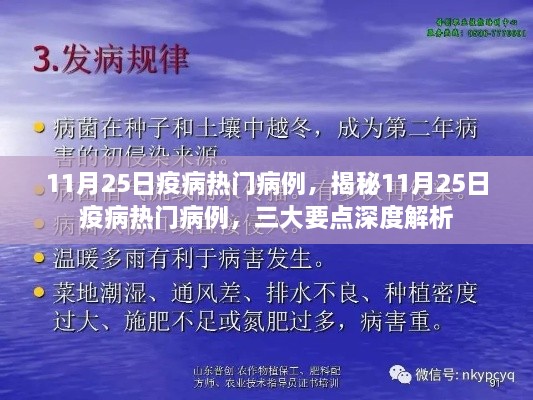 揭秘，11月25日疫病热门病例深度解析与三大要点剖析