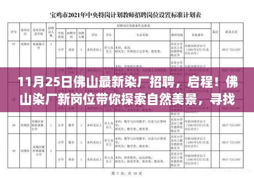 11月25日佛山染厂新岗位招聘启事，探索自然美景的内心平静之旅