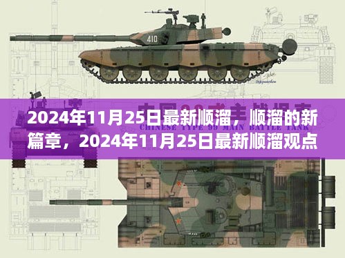 2024年11月25日最新顺溜观点，开启新篇章的探析