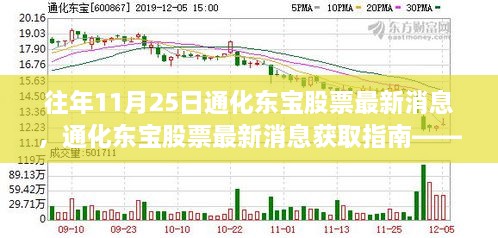 往年11月25日通化东宝股票最新消息解析与获取指南，轻松掌握股票动态之道