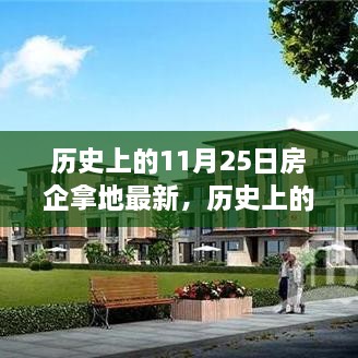 历史上的11月25日，房企拿地现象深度解析与最新趋势展望