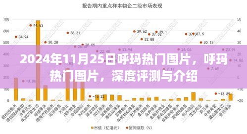 呼玛热门图片，深度评测与介绍——2024年11月25日独家呈现