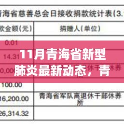 青海省新型肺炎最新动态深度解析与评测报告（11月版）