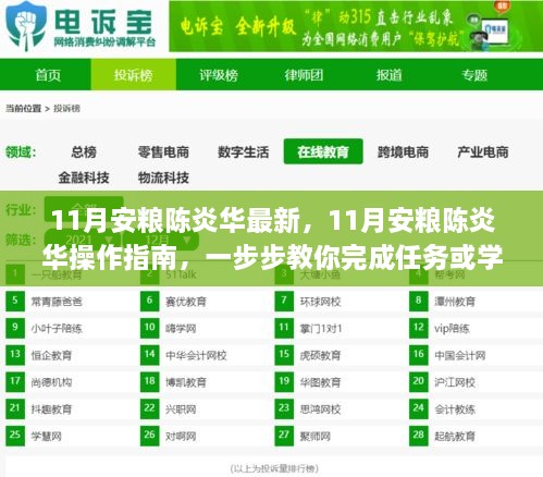 11月安粮陈炎华操作指南，任务完成与技能学习步骤详解