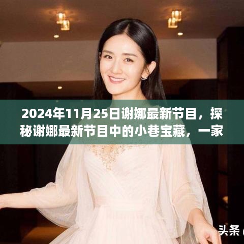 谢娜最新节目探秘，小巷宝藏中的独特小店（2024年11月25日）