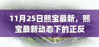 11月25日熙宝最新，熙宝最新动态下的正反观点剖析与个人立场阐述