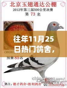 揭秘往年11月25日热门鸽舍的高科技产品盛宴