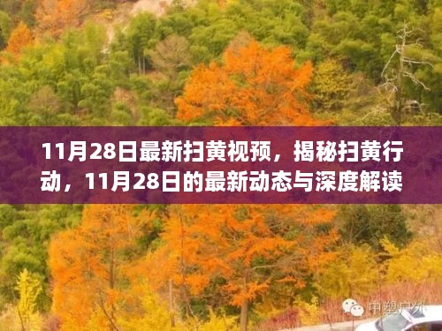 揭秘扫黄行动，最新动态与深度解读（11月28日最新资讯）