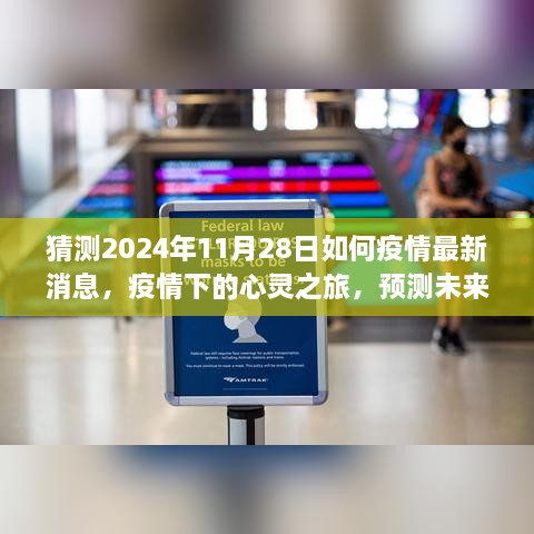 疫情下的心灵之旅，探索未来喜悦与宁静的预测，最新消息速递（2024年11月28日）