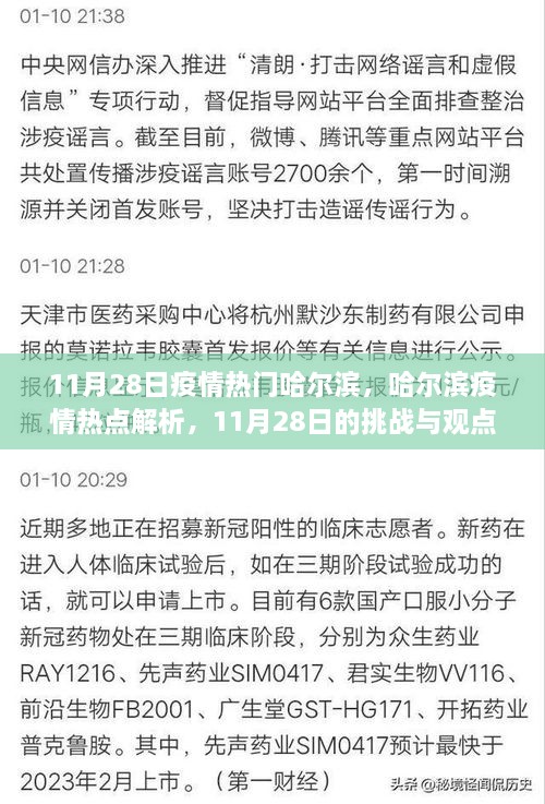 哈尔滨疫情热点解析，11月28日的挑战与观点