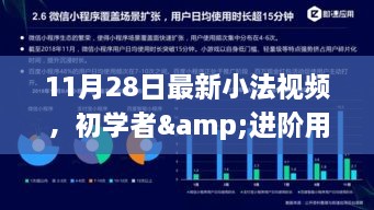 11月28日小法视频学习指南，从初学者到进阶用户的技能掌握之路