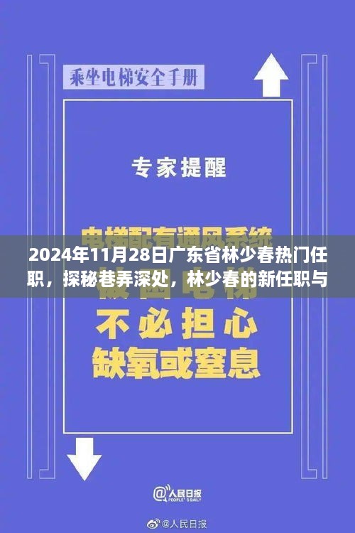 林少春新任职揭秘，广东省热门人物与巷弄深处特色小店的魅力