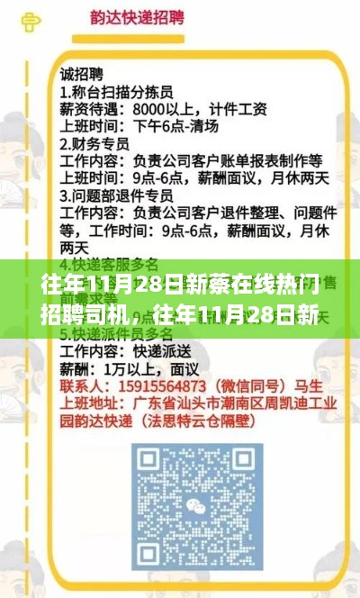 往年11月28日新蔡在线招聘司机盛况与深度评测报告