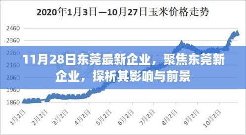 聚焦东莞新企业，探析最新企业影响与前景