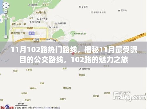 揭秘11月最受瞩目的公交路线，102路魅力之旅揭秘