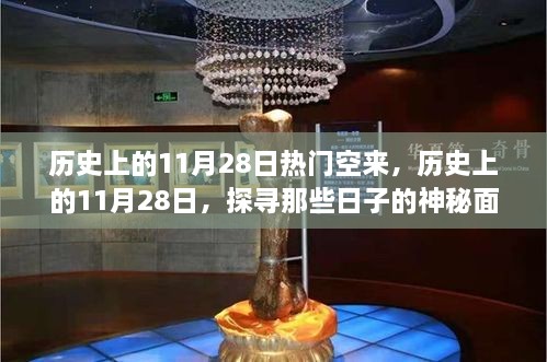 探寻历史上的11月28日，揭开神秘面纱的日子