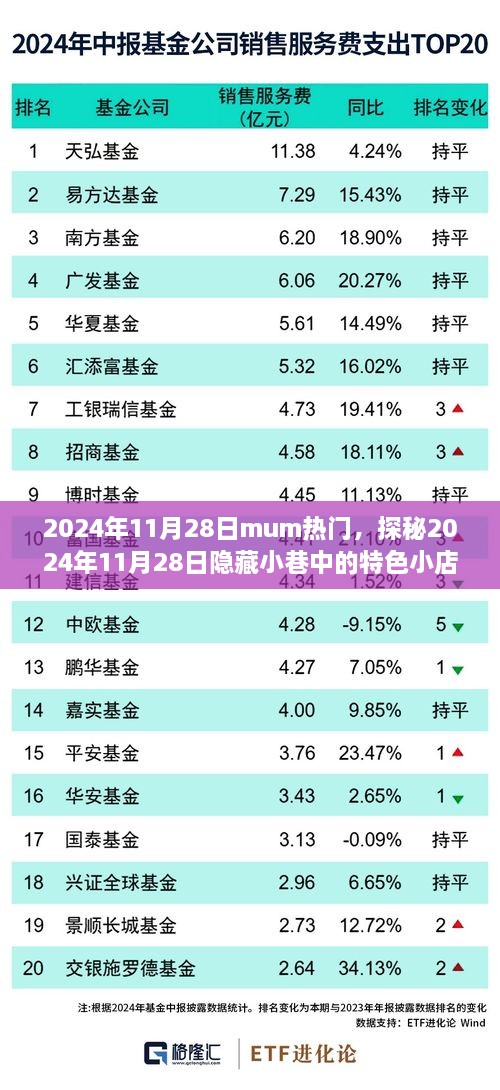 探秘特色小店，揭秘隐藏小巷的神秘魅力——2024年11月28日特色探店之旅